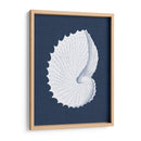 Coquillages Blancs V - Vision Studio | Cuadro decorativo de Canvas Lab