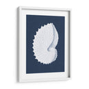 Coquillages Blancs V - Vision Studio | Cuadro decorativo de Canvas Lab