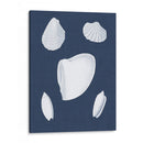 Cochillages Blancs Vi - Vision Studio | Cuadro decorativo de Canvas Lab