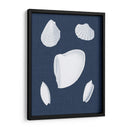 Cochillages Blancs Vi - Vision Studio | Cuadro decorativo de Canvas Lab