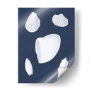 Cochillages Blancs Vi - Vision Studio | Cuadro decorativo de Canvas Lab