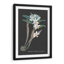 Orquídea En La Pizarra I - Vision Studio | Cuadro decorativo de Canvas Lab