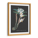 Orquídea En La Pizarra I - Vision Studio | Cuadro decorativo de Canvas Lab