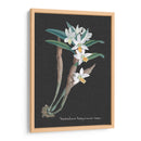 Orquídea En La Pizarra I - Vision Studio | Cuadro decorativo de Canvas Lab