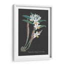 Orquídea En La Pizarra I - Vision Studio | Cuadro decorativo de Canvas Lab