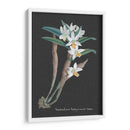 Orquídea En La Pizarra I - Vision Studio | Cuadro decorativo de Canvas Lab