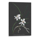 Orquídea En La Pizarra Ii - Vision Studio | Cuadro decorativo de Canvas Lab