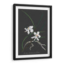 Orquídea En La Pizarra Ii - Vision Studio | Cuadro decorativo de Canvas Lab