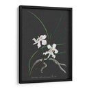 Orquídea En La Pizarra Ii - Vision Studio | Cuadro decorativo de Canvas Lab