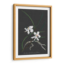 Orquídea En La Pizarra Ii - Vision Studio | Cuadro decorativo de Canvas Lab