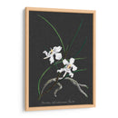 Orquídea En La Pizarra Ii - Vision Studio | Cuadro decorativo de Canvas Lab
