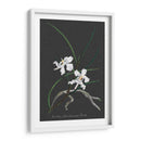 Orquídea En La Pizarra Ii - Vision Studio | Cuadro decorativo de Canvas Lab