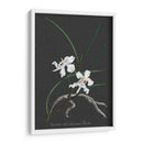 Orquídea En La Pizarra Ii - Vision Studio | Cuadro decorativo de Canvas Lab