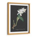 Orquídea En La Pizarra Iii - Vision Studio | Cuadro decorativo de Canvas Lab