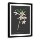 Orquídea En La Pizarra Iv - Vision Studio | Cuadro decorativo de Canvas Lab