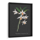 Orquídea En La Pizarra Iv - Vision Studio | Cuadro decorativo de Canvas Lab