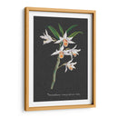 Orquídea En La Pizarra Iv - Vision Studio | Cuadro decorativo de Canvas Lab