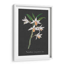 Orquídea En La Pizarra Iv - Vision Studio | Cuadro decorativo de Canvas Lab