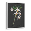 Orquídea En La Pizarra Iv - Vision Studio | Cuadro decorativo de Canvas Lab
