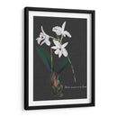 Orquídea En Pizarra V - Vision Studio | Cuadro decorativo de Canvas Lab