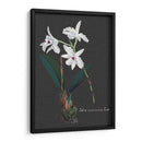 Orquídea En Pizarra V - Vision Studio | Cuadro decorativo de Canvas Lab