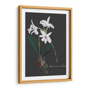 Orquídea En Pizarra V - Vision Studio | Cuadro decorativo de Canvas Lab