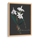 Orquídea En Pizarra V - Vision Studio | Cuadro decorativo de Canvas Lab