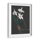 Orquídea En Pizarra V - Vision Studio | Cuadro decorativo de Canvas Lab