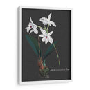 Orquídea En Pizarra V - Vision Studio | Cuadro decorativo de Canvas Lab