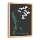 Orquídea En La Pizarra Vi - Vision Studio | Cuadro decorativo de Canvas Lab