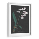 Orquídea En La Pizarra Vi - Vision Studio | Cuadro decorativo de Canvas Lab