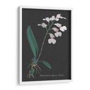 Orquídea En La Pizarra Vi - Vision Studio | Cuadro decorativo de Canvas Lab