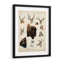 Especies De Animales Occidentales I | Cuadro decorativo de Canvas Lab