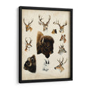Especies De Animales Occidentales I | Cuadro decorativo de Canvas Lab