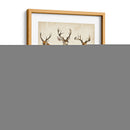 Especies De Animales Occidentales I | Cuadro decorativo de Canvas Lab