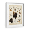 Especies De Animales Occidentales I | Cuadro decorativo de Canvas Lab