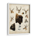 Especies De Animales Occidentales I | Cuadro decorativo de Canvas Lab