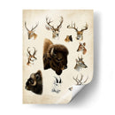 Especies De Animales Occidentales I | Cuadro decorativo de Canvas Lab