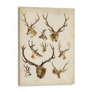 Especies De Animales Occidentales Ii | Cuadro decorativo de Canvas Lab