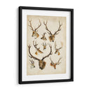 Especies De Animales Occidentales Ii | Cuadro decorativo de Canvas Lab