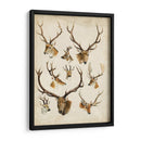 Especies De Animales Occidentales Ii | Cuadro decorativo de Canvas Lab