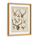 Especies De Animales Occidentales Ii | Cuadro decorativo de Canvas Lab