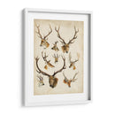 Especies De Animales Occidentales Ii | Cuadro decorativo de Canvas Lab