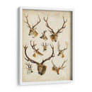 Especies De Animales Occidentales Ii | Cuadro decorativo de Canvas Lab