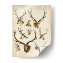 Especies De Animales Occidentales Ii | Cuadro decorativo de Canvas Lab