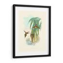 Hummingbird Delight Iii - John Gould | Cuadro decorativo de Canvas Lab