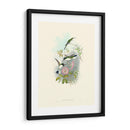 Hummingbird Delight Viii - John Gould | Cuadro decorativo de Canvas Lab