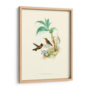Hummingbird Delight X - John Gould | Cuadro decorativo de Canvas Lab