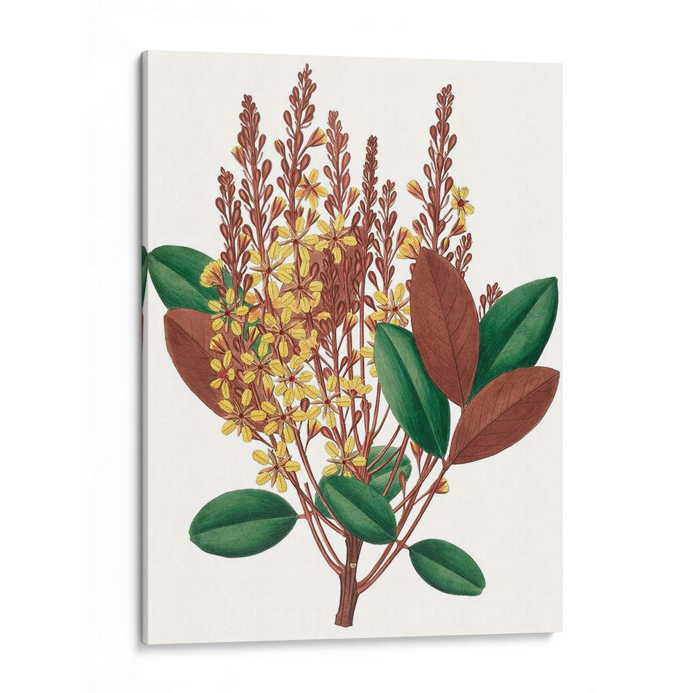 Follaje De Otoño Ii | Cuadro decorativo de Canvas Lab