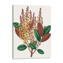 Follaje De Otoño Ii | Cuadro decorativo de Canvas Lab